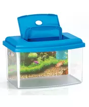 AQUARIUM WITH LID AND HANDLE
