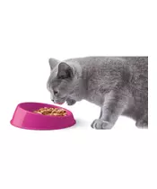 WHISKER-FRIENDLY BOWL FOR CATS