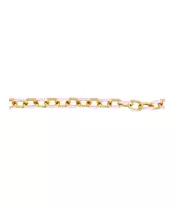 Anklet Lilac Link - Stainless Steel Gold Plated