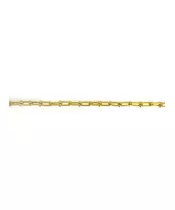 Bracelet Horseshoe link thin - Stainless Steel Gold Plated