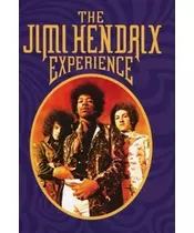 THE JIMI HENDRIX EXPERIENCE - THE JIMI HENDRIX EXPERIENCE (4CD BOX SET)