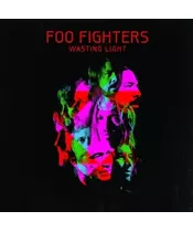 FOO FIGHTERS - WASTING LIGHT (2LP VINYL)