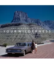 THE PINEAPPLE THIEF - YOUR WILLDERNESS (LP VINYL)