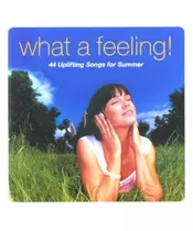 WHAT A FEELING - 44 UPLIFTING SONGS FOR SUMMER (2CD)