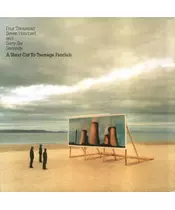 TEENAGE FANCLUB - FOUR THOUSAND SEVEN HUNDRED AND SIXTY SIX SECONDS (CD)