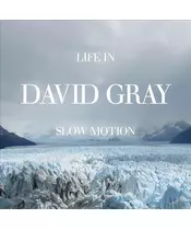 DAVID GRAY - LIFE IN SLOW MOTION (CD)