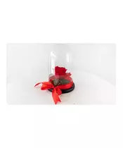 1 Long Lasting Red Rose (forever) In Glass Container