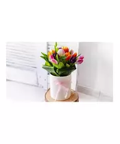 Bouquet With Various Colors Tulips In Box