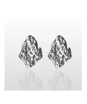 Hammered Earrings - High quality Stainless Steel