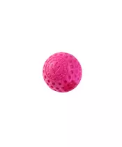Kiwi Walker Ball Pink Mini
