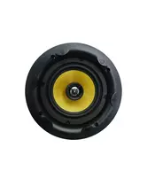 iEast iCS-6 6.5'' Flat Ceiling Speaker 80W