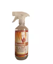 Bientoll All in One Antiseptic Disinfectant for Surfaces - Classic 550ml