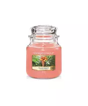 Yankee Candle - The Last Paradise Small Jar (20-30 Hours)