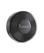 Audiocast M5 WIFI Multiroom Audio Receiver