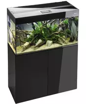 GLOSSY AQUARIUM LINE