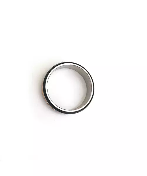 Male Ring in Stainless Steel