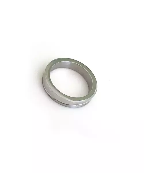 Male Ring in Stainless Steel