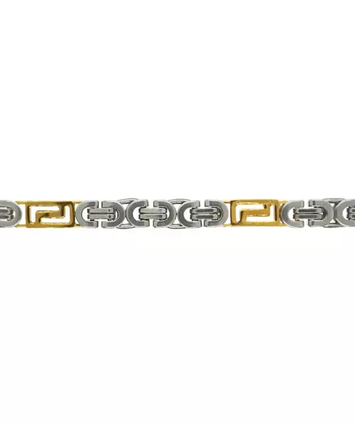 Choker double color - Stainless Steel