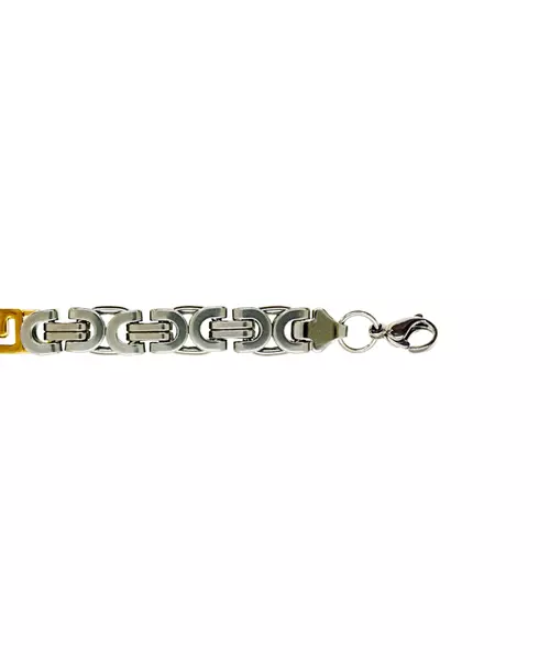 Choker double color - Stainless Steel