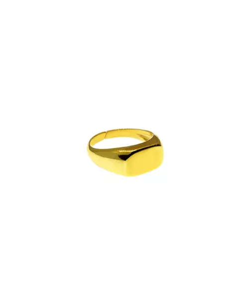 Flat plate ring - Silver 925 gold plated