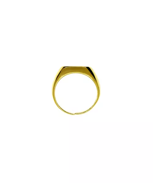 Flat plate ring - Silver 925 gold plated