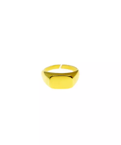 Flat plate ring - Silver 925 gold plated