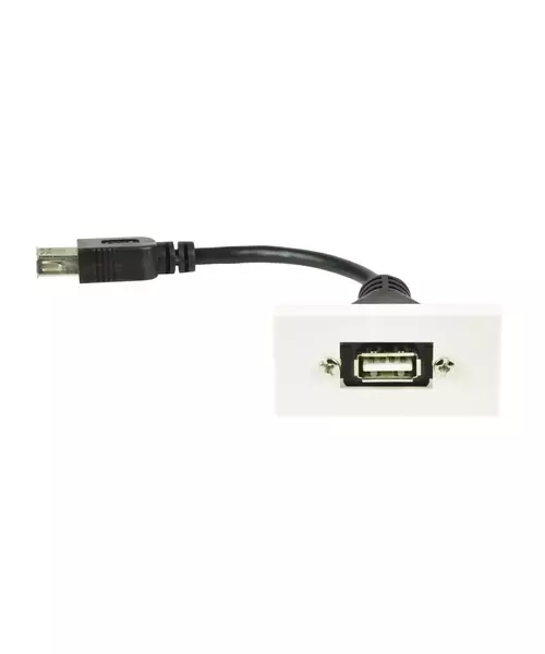 AV:Link Wall Plate Module USB 2.0 122.530UK