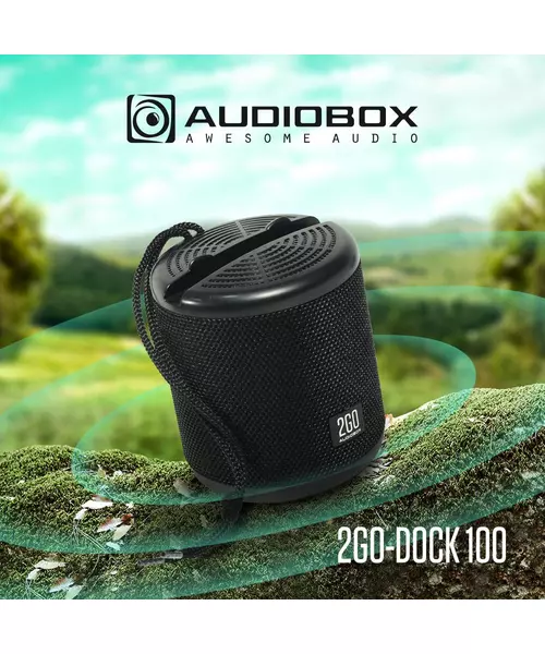 AudioBox 2GO-Dock100 Portable BT/FM Speaker with Dock Black