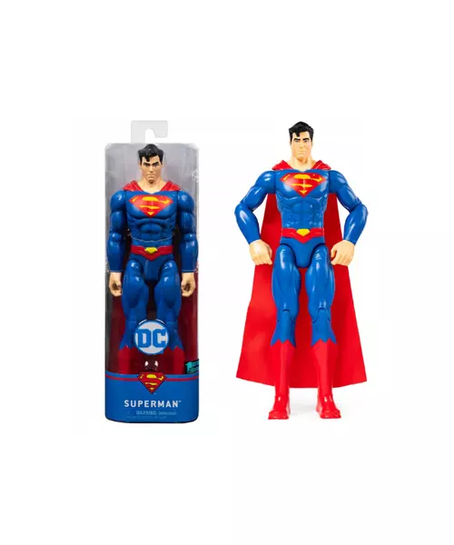 SPIN MASTER DC COMICS ACTION FIGURE 30CM (ASSORTED)