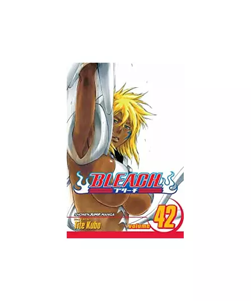 VIZ BLEACH VOL.42 PAPERBACK MANGA