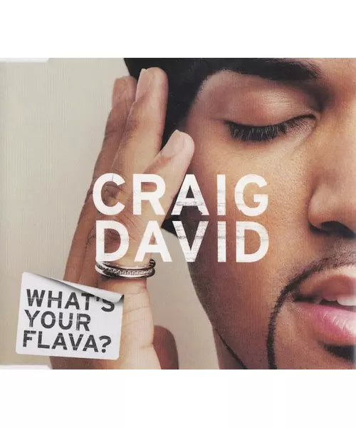CRAIG DAVID - WHATS YOUR FLAVA (CDS)