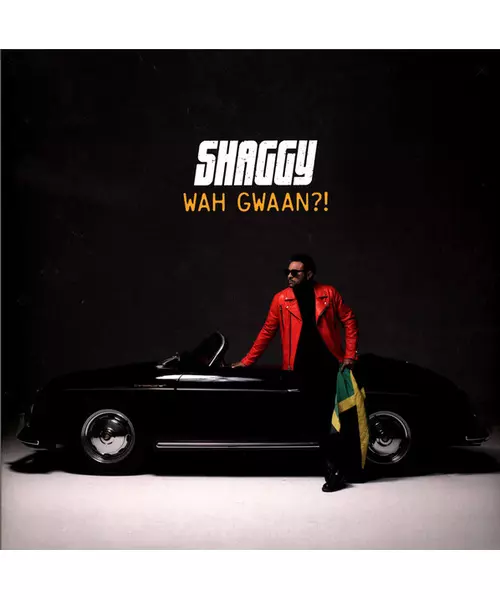 SHAGGY - WAH GWAAN?! (2LP VINYL)
