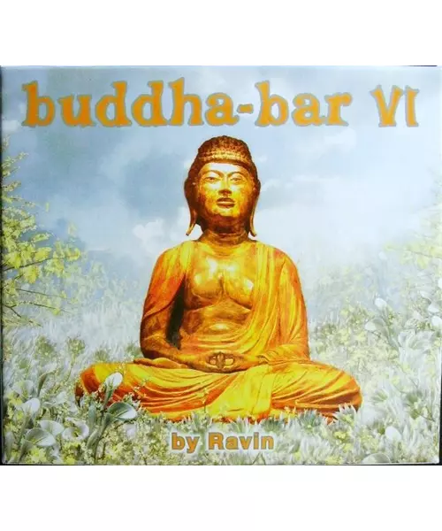 VARIOUS - BUDDHA BAR VI (2CD)