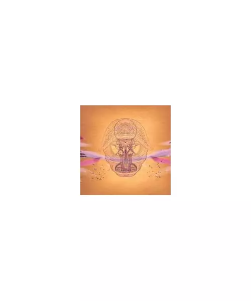 DEVENDRA BANHART - WHAT WILL WE BE (CD)