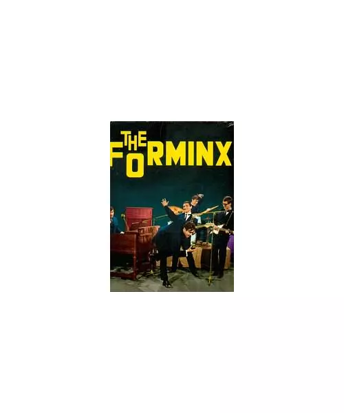 THE FORMINX - THE FORMINX (LP FIRST PRESSING)