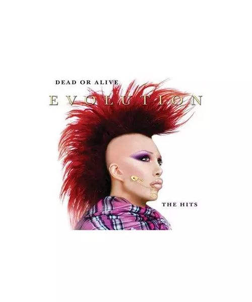 DEAD OR ALIVE - EVOLUTION - THE HITS (CD)