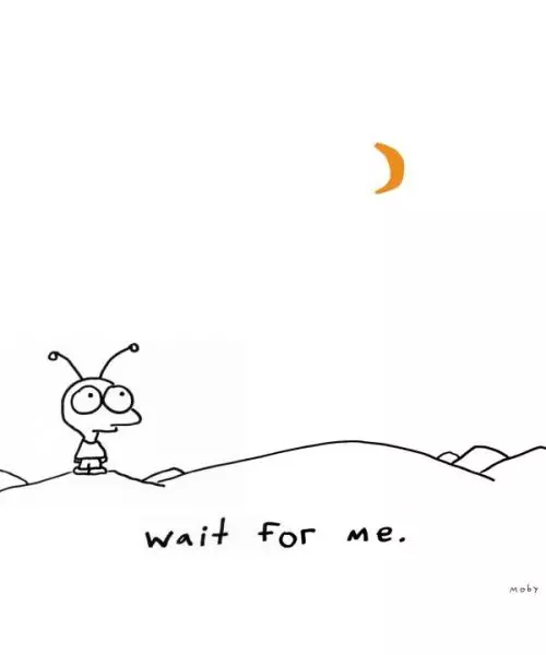 MOBY - WAIT FOR ME (CD)