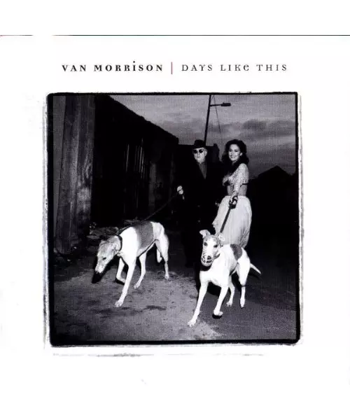 VAN MORRISON - DAYS LIKE THIS (CD)