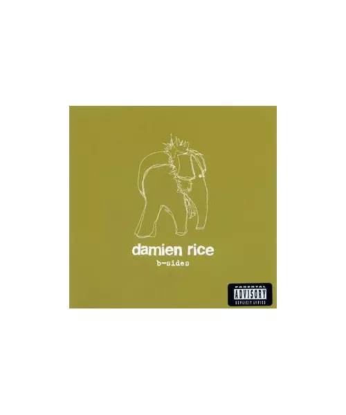 DAMIEN RICE B SIDES CD