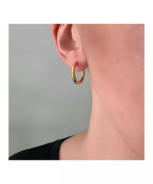 Hoops Earrings 2cm - Stainless Steel Gold Plated