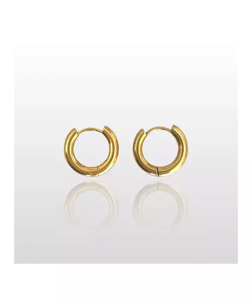 Hoops Earrings 2cm - Stainless Steel Gold Plated