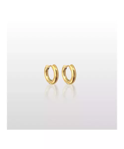 Hoops Earrings 1.6cm - Stainless Steel Gold Plated