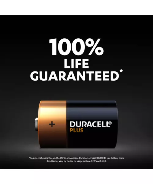 Duracell Alkaline D 2pcs Batteries Plus