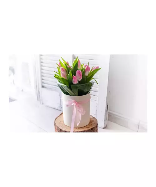 Pink Tulips In Box