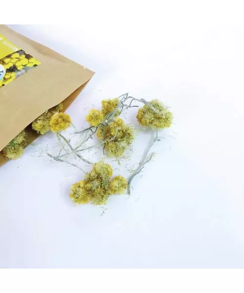 Helichrysum stoechas Elixrisos (olive gold) Organic Flower Mediterranean Natural Tea