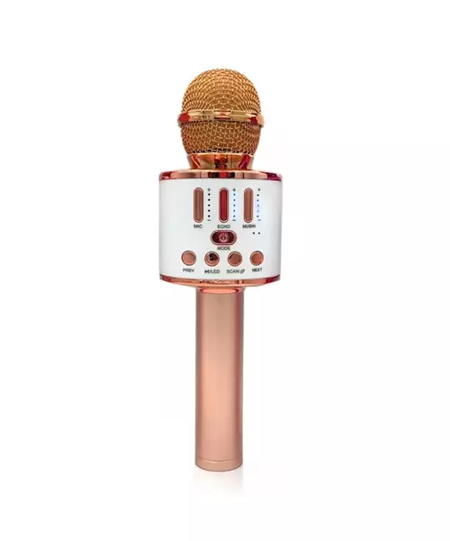 Karaoke Microphone Bluetooth Speaker Pink 22ACity