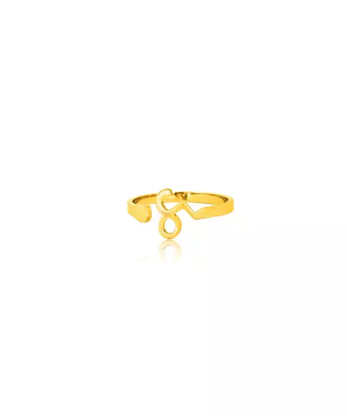 Capricorn - Ring