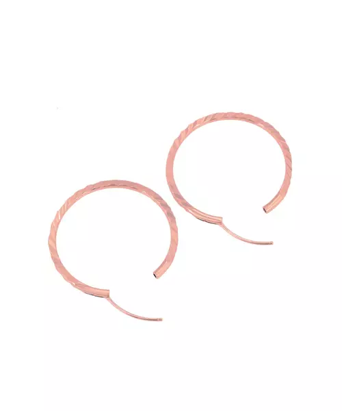 Envieux Chunky Hoops Earrings (A00853471)