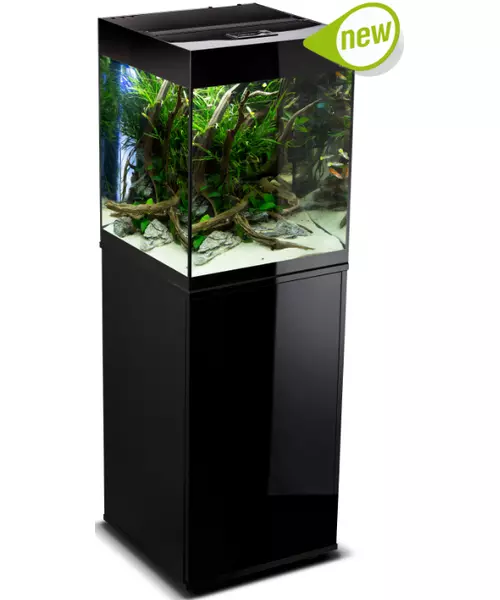 GLOSSY AQUARIUM LINE