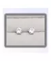 Silver Earrings "White Zircons" (S925)